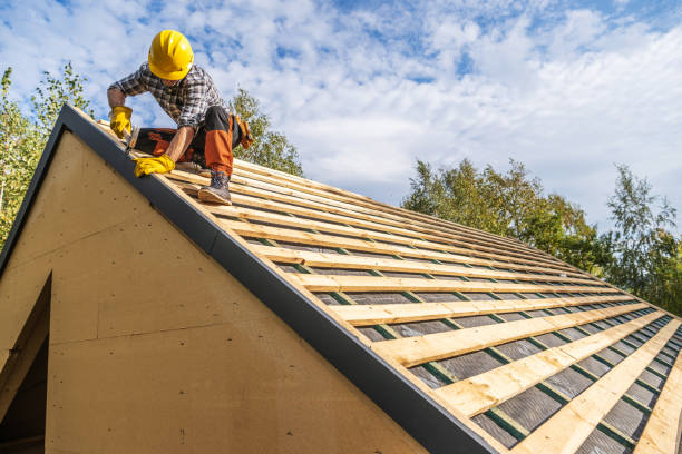 Best Roof Gutter Cleaning  in Ilchester, MD